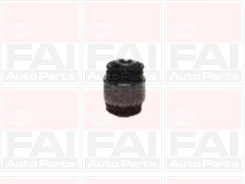 FAI AUTOPARTS Puks SS4575